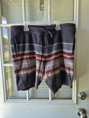 VISSLA Blue Striped Shorts with Burgundy Interior
